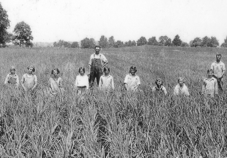 The Town of Bourbon: 1911