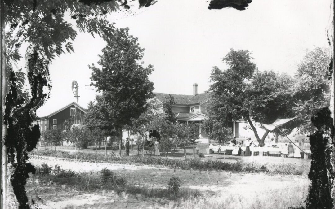 Skeleton Found in a Bourbon Barn