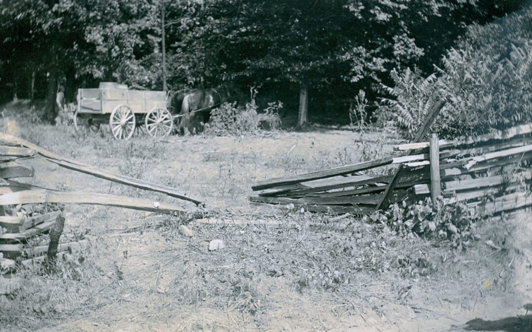 One Boy’s Adventure with Tobacco